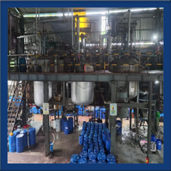 Canola Methyl Ester Exporters