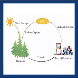 Renewable Energy