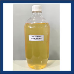 Vegetable Oil Methyl Esters
